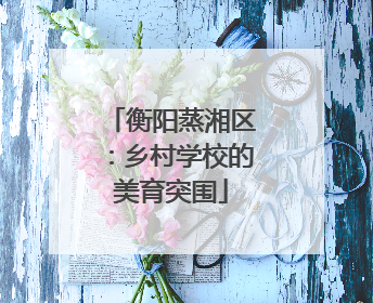 衡阳蒸湘区：乡村学校的美育突围